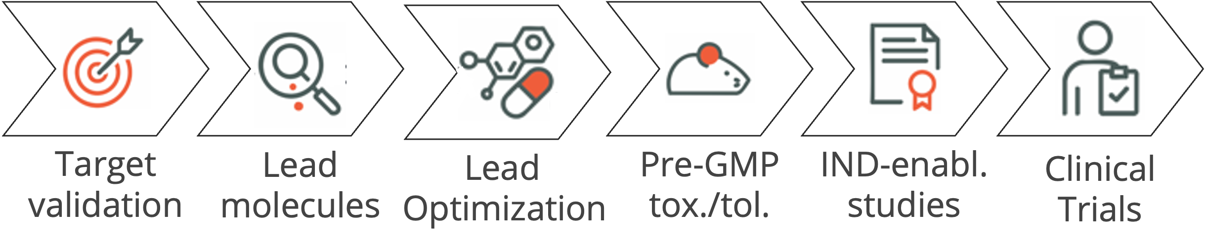 translational pipeline: target validation, lead molecules, lead optimization, pre-GMP tox/tol, IND-enabling studies, clinical trials